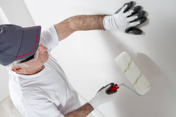 Best Mold Odor Removal Services  in Bithlo, FL