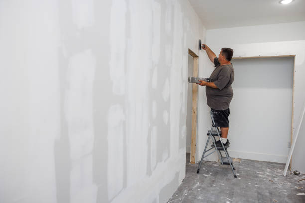 Best Emergency Mold Remediation  in Bithlo, FL